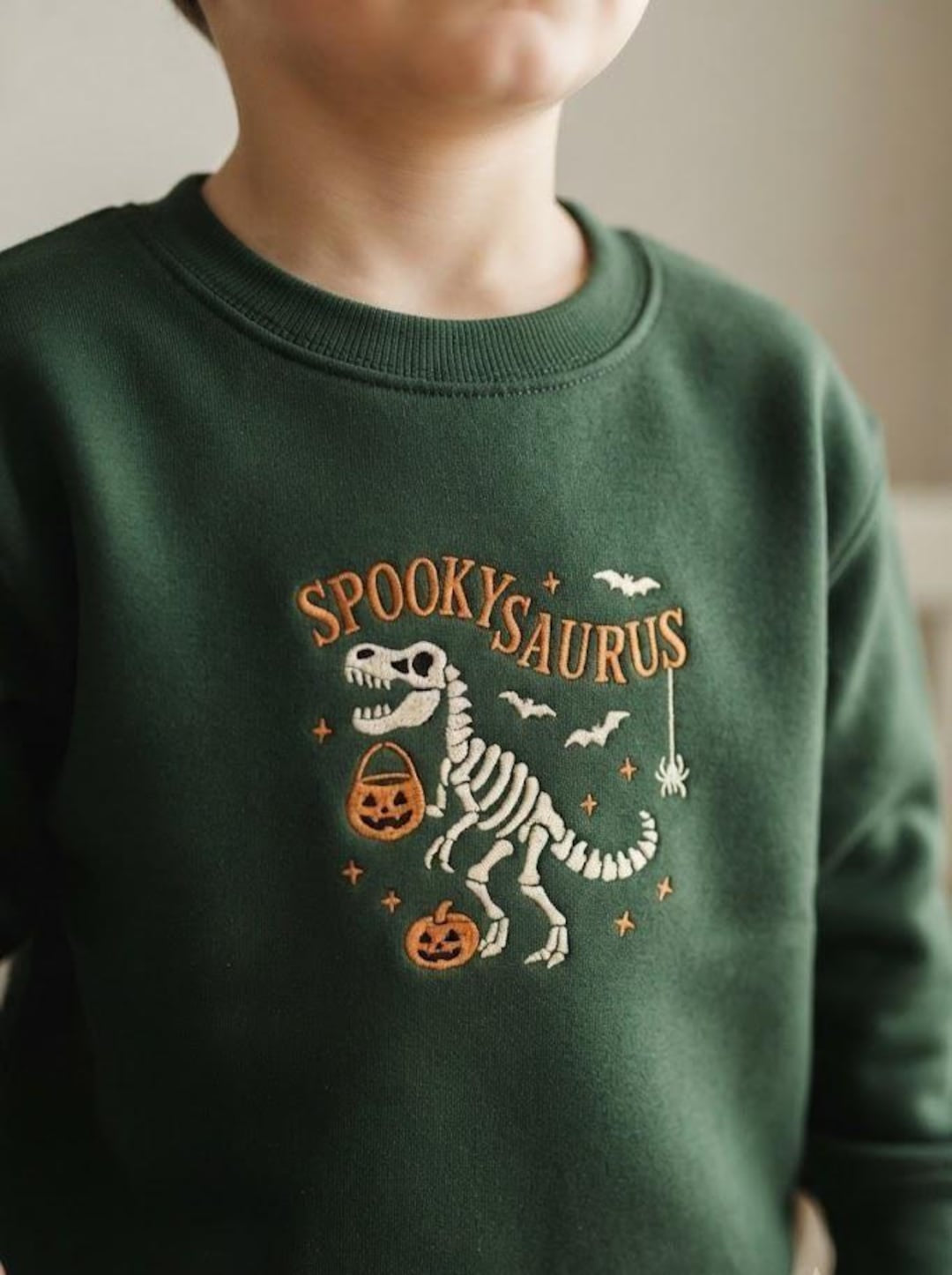 Kids Halloween Skeleton Dinosaur T-Rex Pumpkin Bats Spider Spookysaurus embroidered sweatshirt — front view