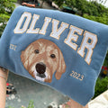 Personalized Custom Pet Portrait Varsity Name EST Year Dog Face embroidered hoodie — front view